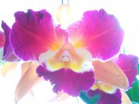 IMG_20201111_100837.jpg
