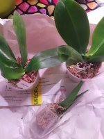 20201114_235703.jpg