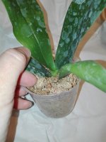 IMG_20201113_223929.jpg