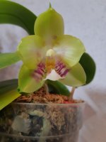 20201108_173431.jpg