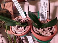 20201117_090549.jpg