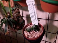 20201117_090611.jpg