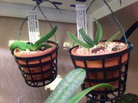 20201117_090752.jpg