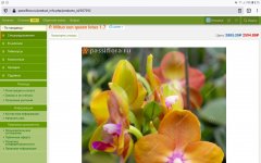Screenshot_20201121-081512_Firefox.jpg