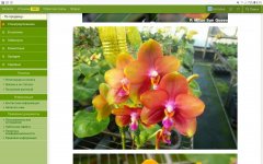 Screenshot_20201121-081521_Firefox.jpg
