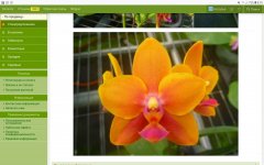Screenshot_20201121-081527_Firefox.jpg