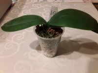 20201121_231528.jpg