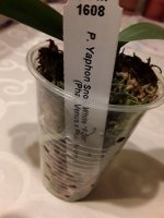 20201121_231546.jpg