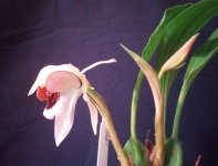 IMG_20201121_150835.jpg