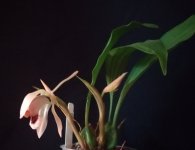 IMG_20201121_140751.jpg