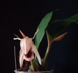 IMG_20201121_140739.jpg
