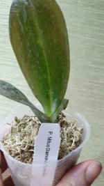 20201121_202232.jpg