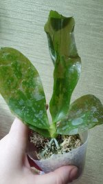 20201121_202219.jpg