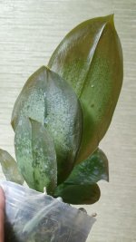 20201121_202201.jpg