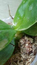 20201121_202146.jpg