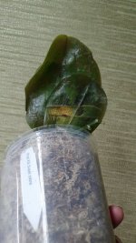 20201121_202141.jpg