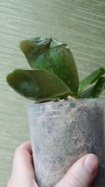 20201121_202138.jpg