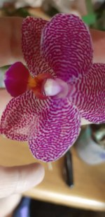 20201122_172836.jpg