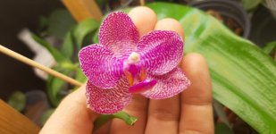 20201122_174815.jpg