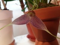 20201123_124146.jpg