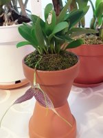 20201123_123755.jpg