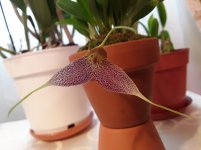 20201123_123643.jpg