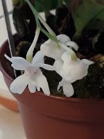 20201123_124517.jpg