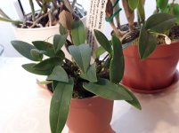 20201123_124306.jpg