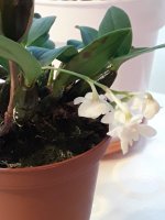 20201123_124450.jpg
