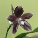 IMG_20201123_230004.jpg