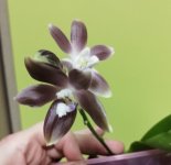 IMG_20201123_225911.jpg