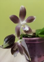 IMG_20201123_225841.jpg