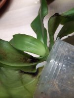 20201108_174930.jpg