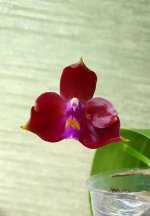 20201124_124805.jpg