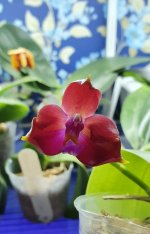 20201124_082806.jpg