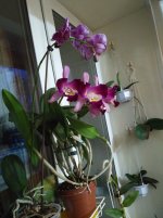 IMG_20201118_175550.jpg