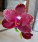 20201124_132052.jpg