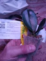 20201125_153004.jpg