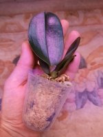 20201125_153514.jpg