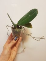 20201126_202948.jpg