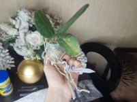 20201126_153958.jpg