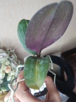 20201126_153924.jpg