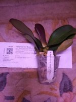 20201127_154959.jpg