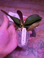 20201127_155017.jpg