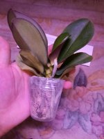 20201127_155023.jpg