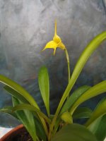 IMG_20201126_154800.jpg