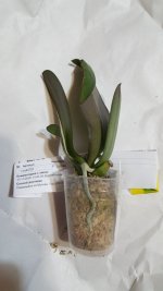 20201127_193551.jpg