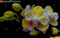 033339A8-8C03-47BC-9916-868F0C2A6121.png