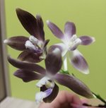 IMG_20201127_220422.jpg