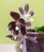 IMG_20201127_220527.jpg